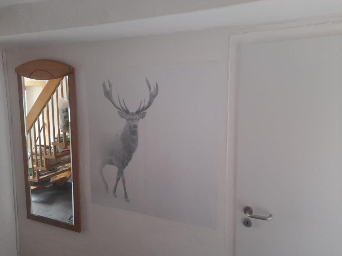Ferienwohnung Beckmann Bad Lauterberg Dış mekan fotoğraf